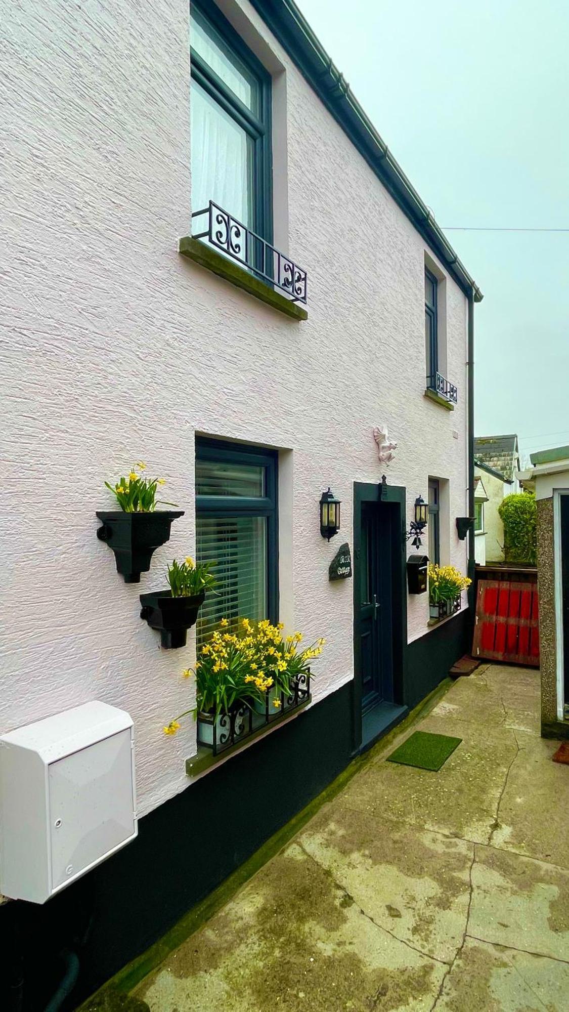 Beautiful Mumbles/Gower Cottage Swansea Luaran gambar